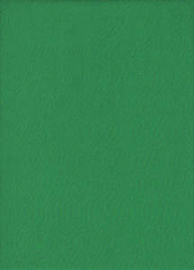 Ярко-зеленый футер двухниточный